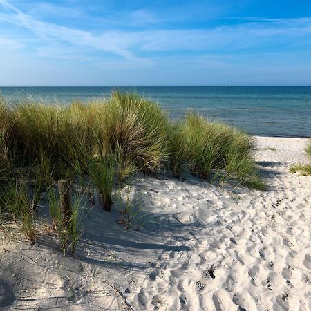 Appartements Am Reiterhof Klabautermann Insel Poel Eksteriør bilde