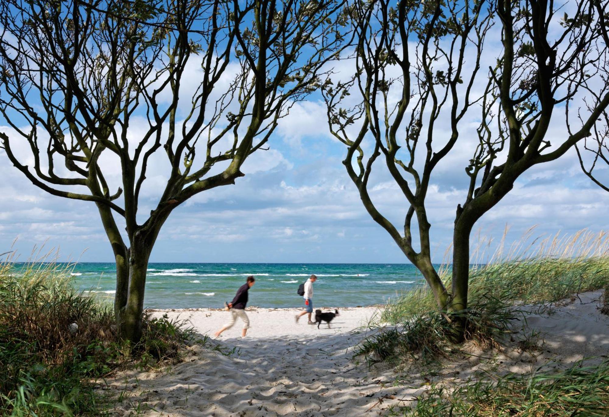 Appartements Am Reiterhof Klabautermann Insel Poel Eksteriør bilde